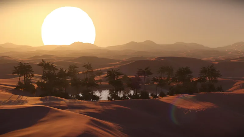 Oasis au coucher du soleil