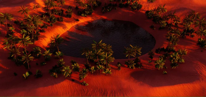 Oasis en lumière rouge