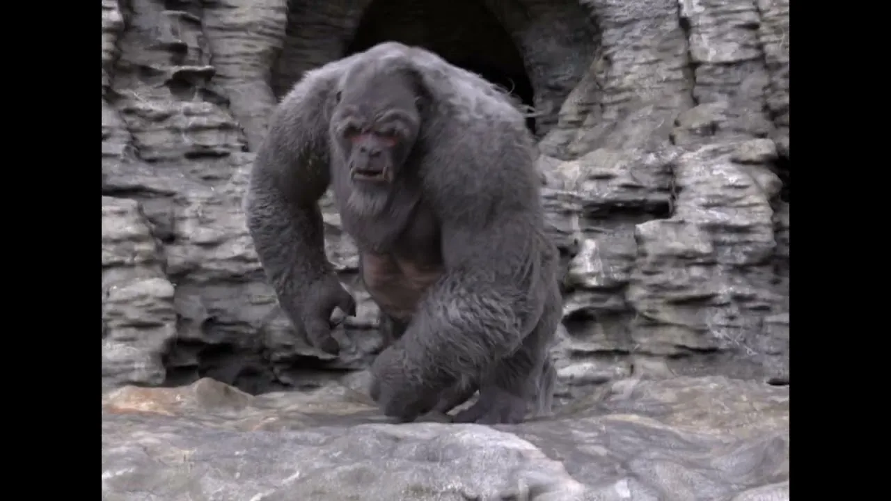 Ape-like creature with groom and muscle simulation